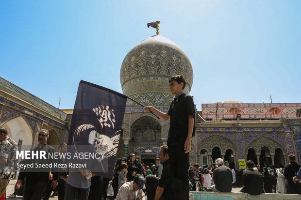 پیاده‌روی جاماندگان اربعین در تهران