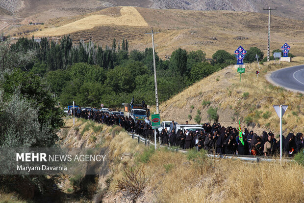 زائران پیاده چناران‌شهر در مسیر حرم رضوی