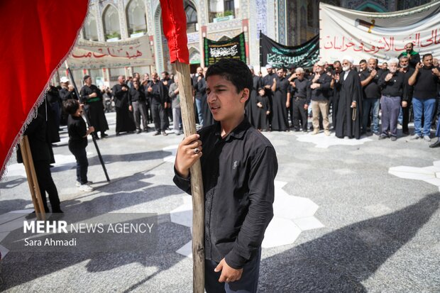 اربعین حسینی در حرم مطهر امام رضا(ع)