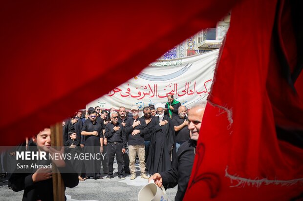 اربعین حسینی در حرم مطهر امام رضا(ع)