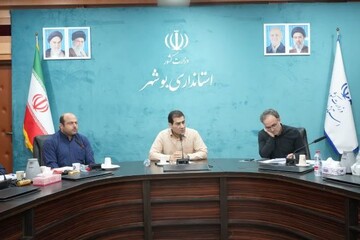 تأکید معاون استاندار بوشهر بر روایت مؤثر خدمات در هفته دولت