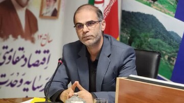 داداش‌زاده‌ اصل: آستارا نیازمند نمایشگاه دائمی صنایع‌دستی است