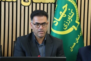 خرید ۳۷۰ هزار تن گندم از گندمکاران همدانی