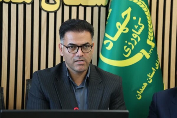 خرید ۳۷۰ هزار تن گندم از گندمکاران همدانی