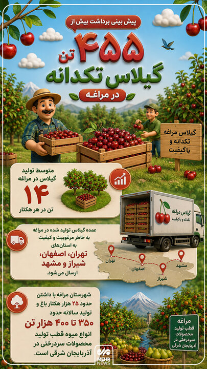 اینفوگرافیک؛ پیش بینی برداشت بیش از ۴۵۵ تن گیلاس تکدانه در مراغه