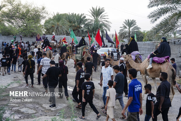کاروان نمادین عاشورا و اسرای کربلا  در میناب