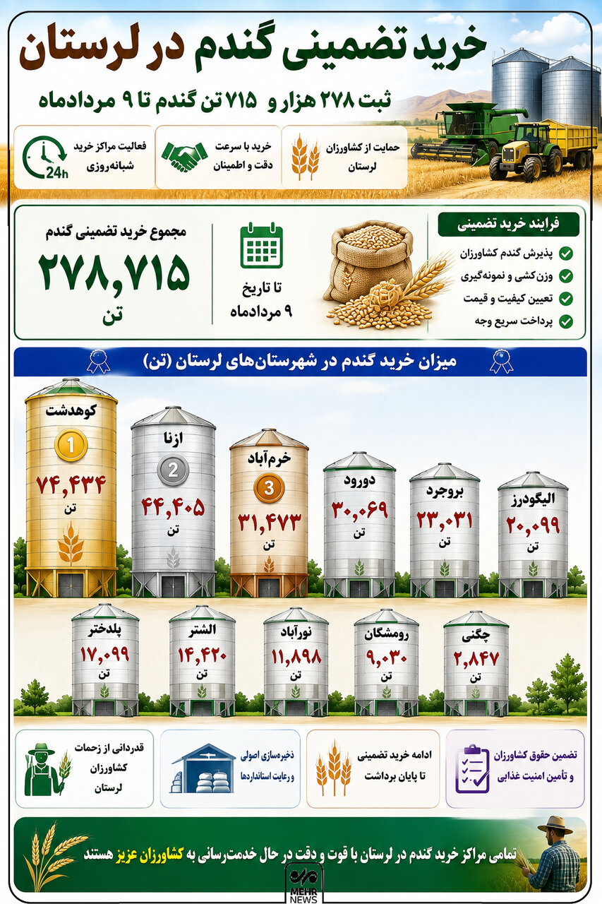 اینفوگرافیک؛ بیشترین خرید گندم لرستان در کدام شهرستانها انجام شد؟