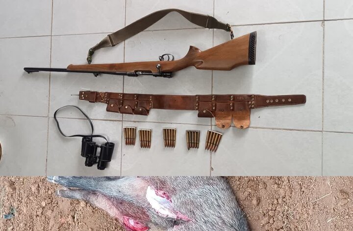 دستگیری شکارچیان متخلف در پناهگاه حیات وحش راسوند؛ کشف لاشه ۲ رأس گراز