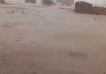 بارش باران و جاری‌شدن روان‌آب در روستای پشت‌پر دشتستان