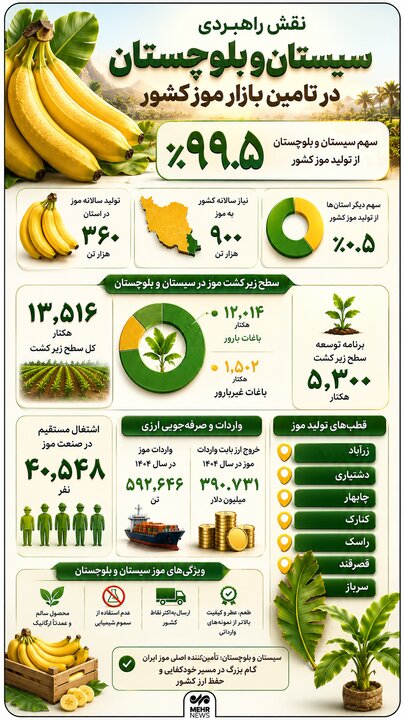 اینفوگرافیک؛ نقش راهبردی سیستان و بلوچستان در تامین بازار موز کشور