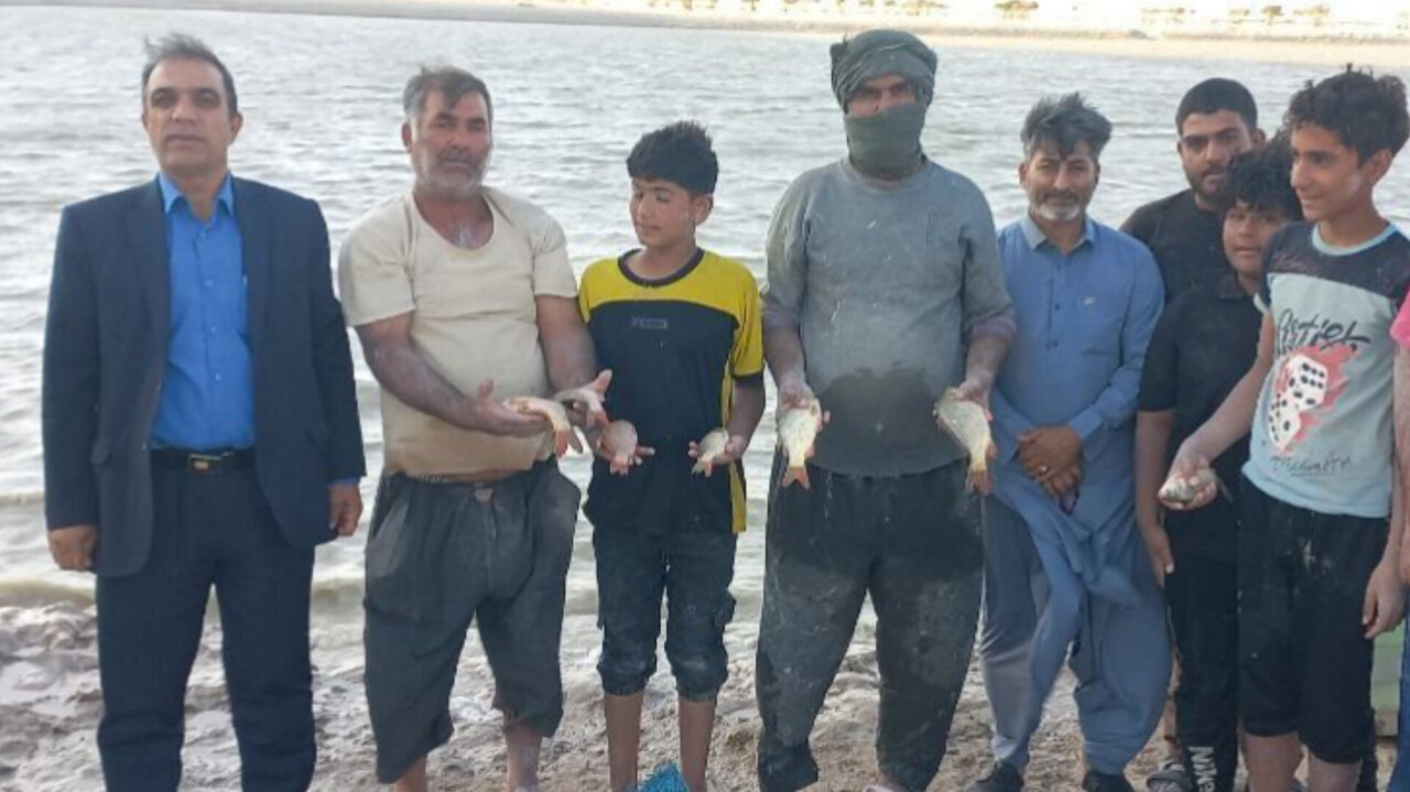تحلیل خبر: خطر تلفات احتمالی ماهیان در دریاچه هامون مهار شد | مهر - کد 175d