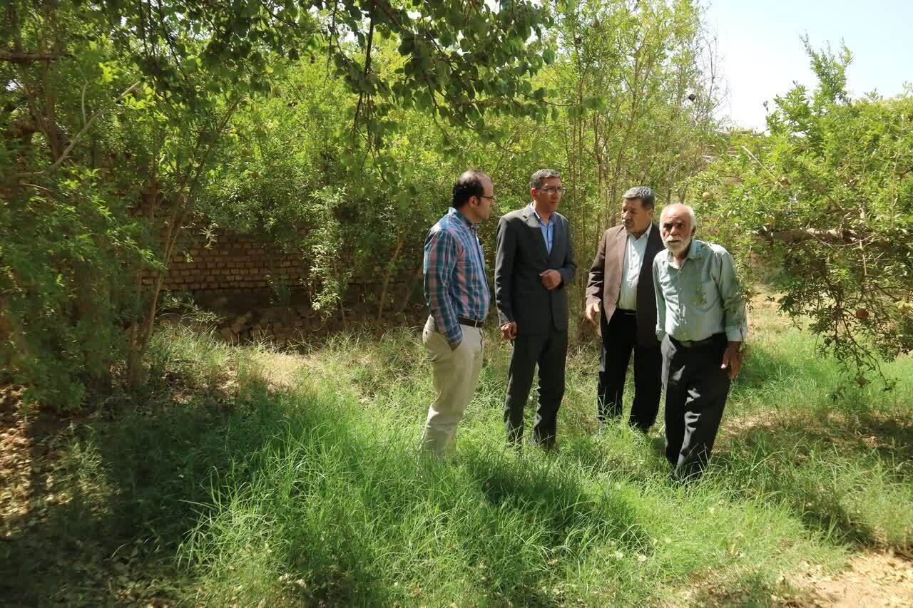 نجات آبخوان‌ها در استان یزد در گرو مشارکت مردم در حفاظت از منابع آبی