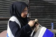۳۵۰۰ کیلوگرم مواد غذایی غیرقابل مصرف در شلمچه معدوم‌سازی شد