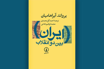 وقتی توسعه بدون مشارکت سیاسی به انقلاب رسید