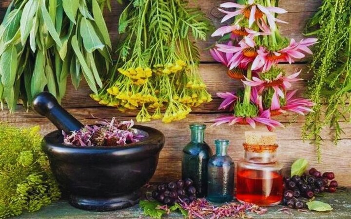 گیاهان دارویی؛ فرصتی برای رونق اقتصاد روستاهای گیلان