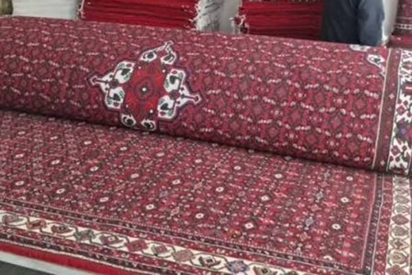 پرونده «مهارت بافت قالی حسین‌آباد شاملو» در مسیر ثبت ملی