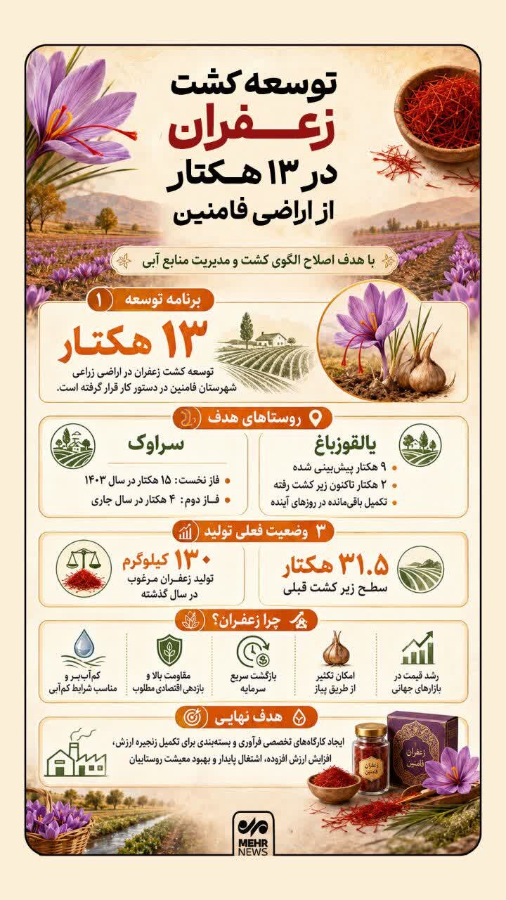 اینفوگرافیک؛ توسعه کشت ۱۳ هکتار زعفران در فامنین