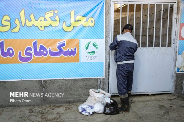 بازدید اصحاب رسانه از محل جمع آوری سگ های ولگرد در سنندج