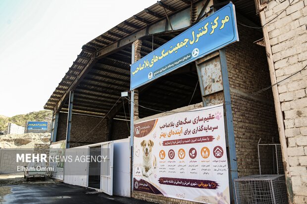 بازدید اصحاب رسانه از محل جمع آوری سگ های ولگرد در سنندج
