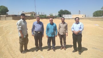بازدید اکیپ نظارتی سازمان تعاون روستایی لرستان از مرکز خرید گندم دلفان