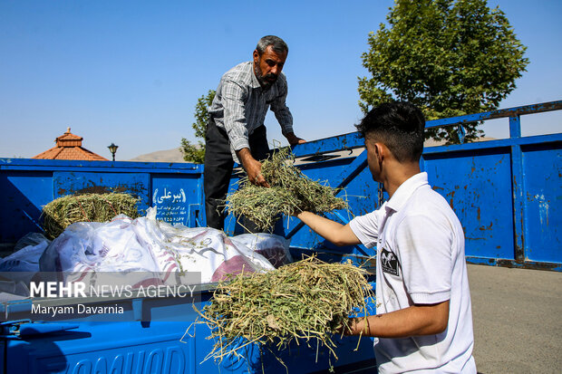 کاروان سوارکاری حرم تا حرم