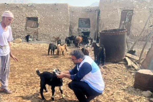 پایش سلامت دام‌ها در روستاهای شهرستان دیر