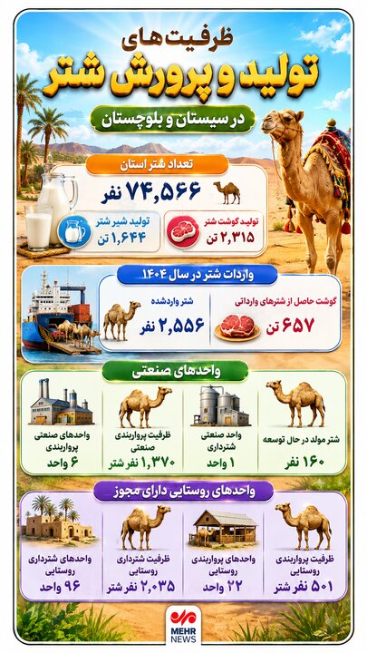 اینفوگرافیک؛ ظرفیت های تولید و پرورش «شتر» در سیستان و بلوچستان