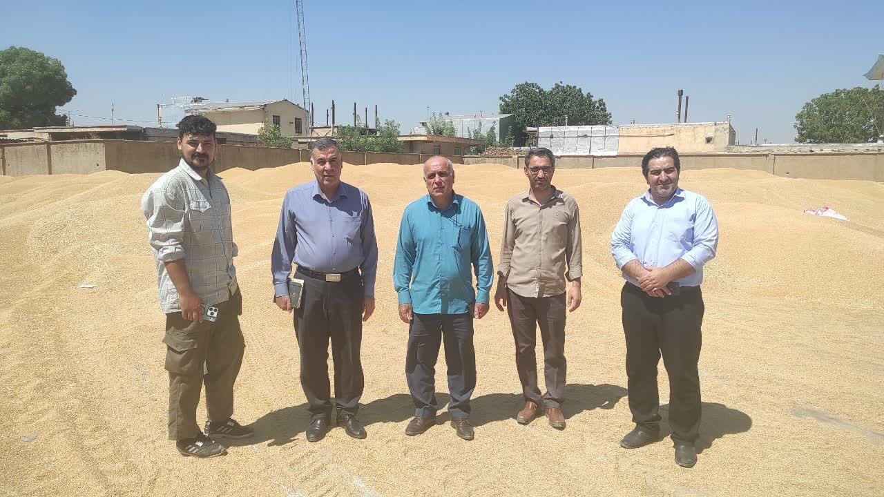 بازدید اکیپ نظارتی سازمان تعاون روستایی لرستان از مرکز خرید گندم دلفان