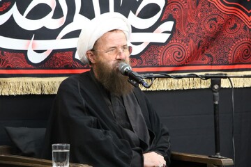 بیگدلی: مکتب تشیع با مجاهدت امام رضا(ع) در بلاد اسلامی گسترش یافت