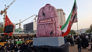 کوله پشتی صورتی سوخته