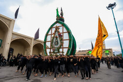 آیین عزاداری و نخل‌برداری شهادت امام رضا(ع) در مهریز
