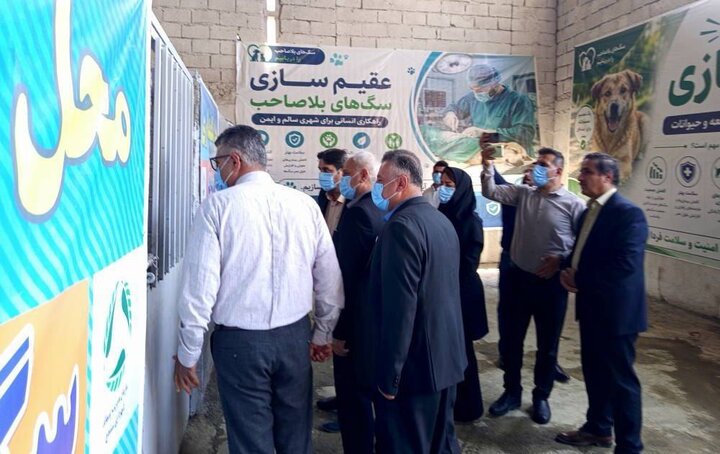 زندی: ساماندهی سگهای بلاصاحب سنندج باید بر مبنای اصول علمی انجام شود