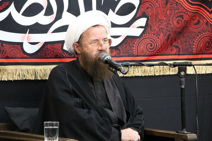 بیگدلی: مکتب تشیع با مجاهدت امام رضا(ع) در بلاد اسلامی گسترش یافت