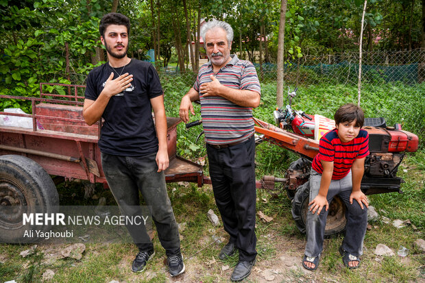 آئین علم واچینی روستای ماشک تهرانچی در گیلان