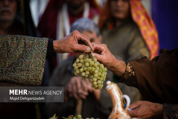 آیین عزاداری و نخل برداری شهادت امام رضا(ع) در مهریز