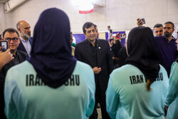 Iran sports minister Donyamali hails Iranian participants at 2026 Nagoya