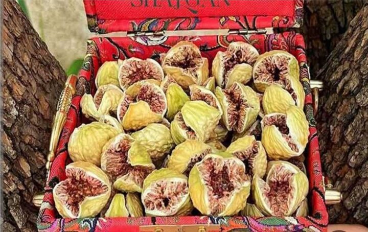 انجیر گلوگاه طعم بهشتی دارد؛ باغهایی که مقصد گردشگران است