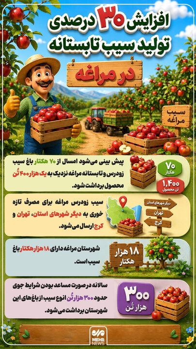 اینفوگرافیک