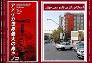 استقبال کاربر ژاپنی از دیوارنگاره «آمریکا قارچ سمی دنیا»