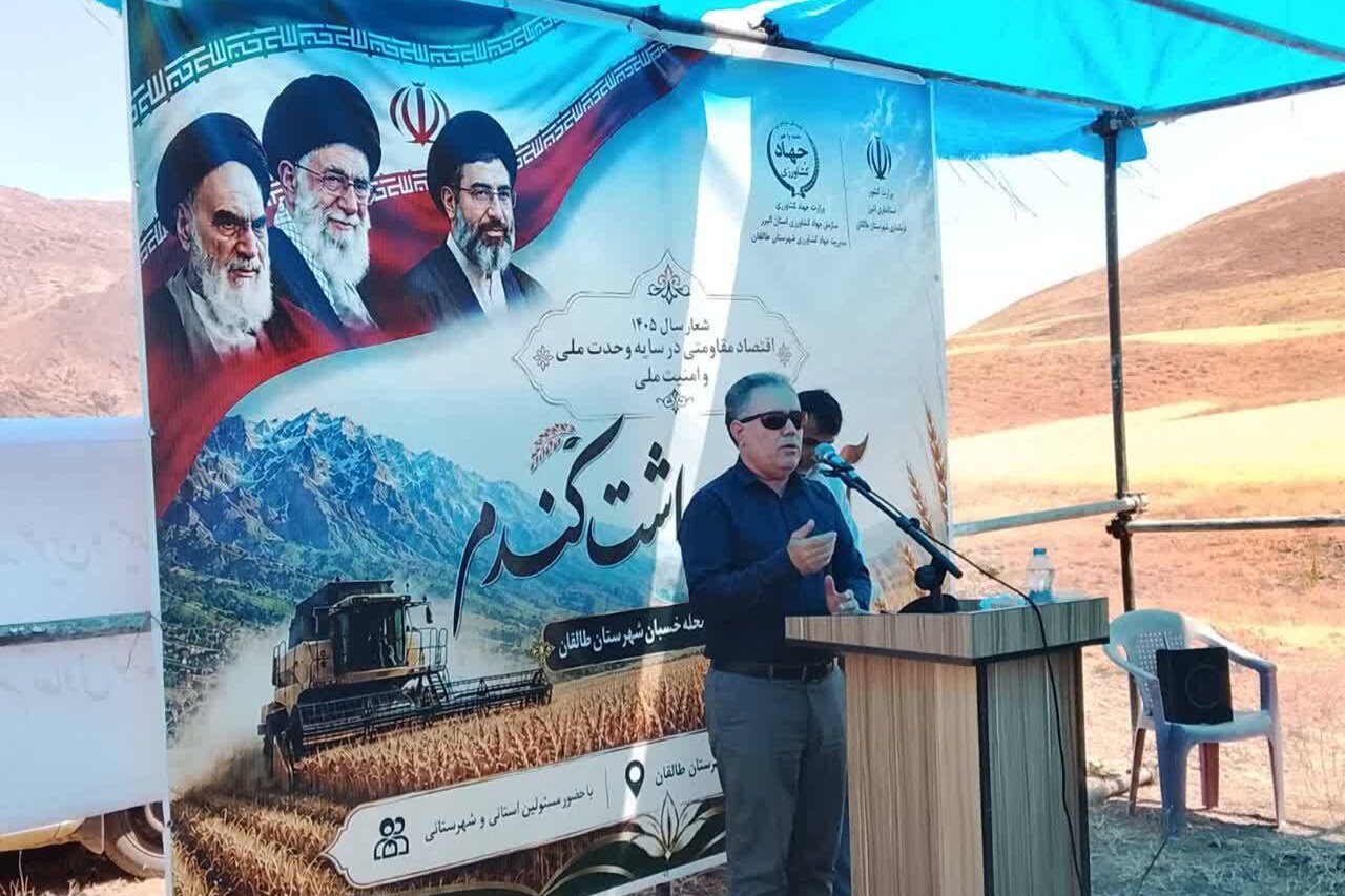 برداشت بیش از ۲۷ هزار تن گندم از مزارع استان البرز - | اخبار ایران و جهان | Mehr News Agency