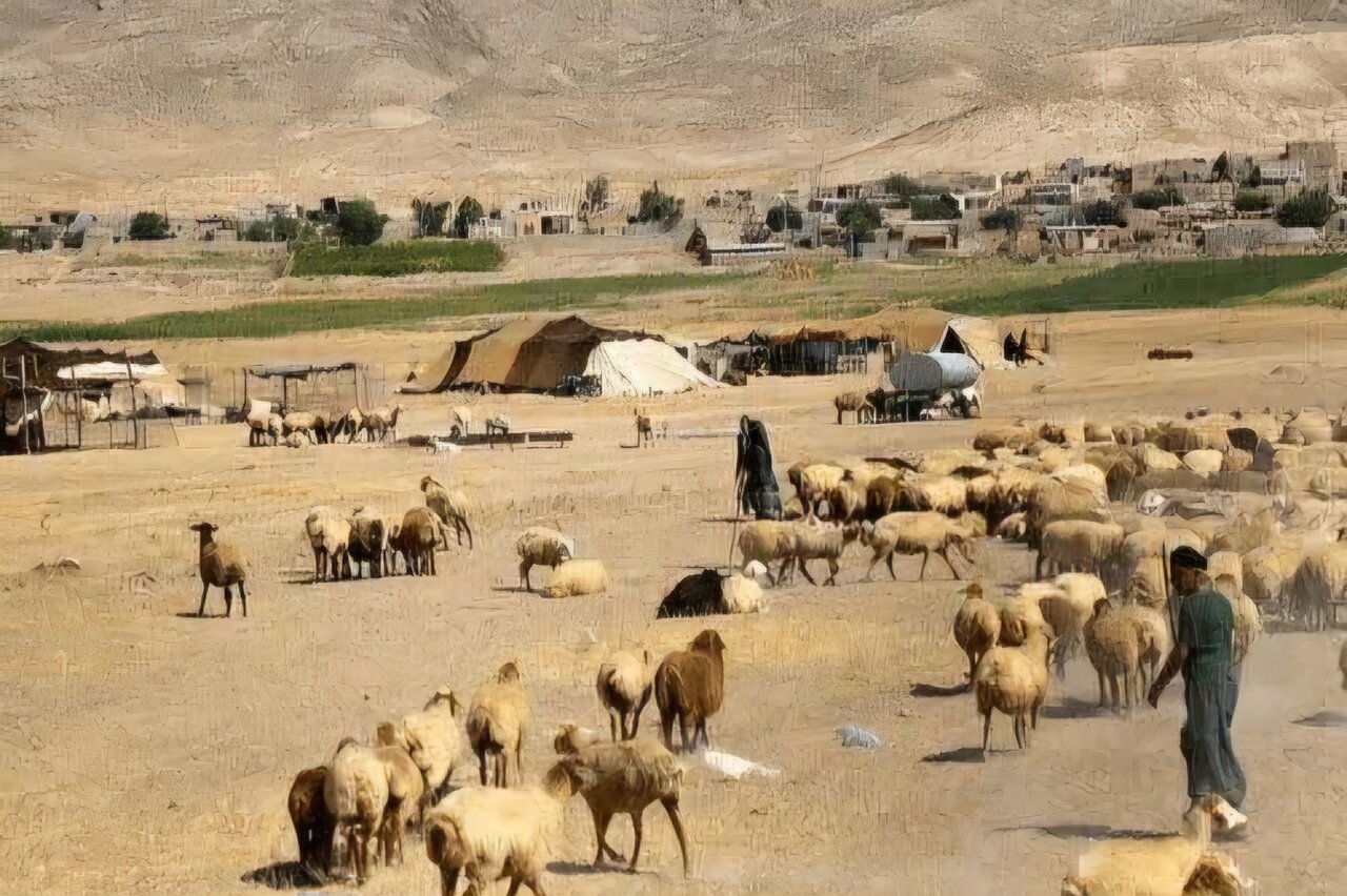 گزارش تحلیلی: اهدای بیش از ۱۰۰ رأس گوسفند توسط عشایر مراغه در قالب زکات | مهر - کد b47f