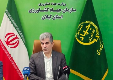 محمدی: سالانه ۳.۶ میلیون تن محصول کشاورزی در گیلان تولید می‌شود