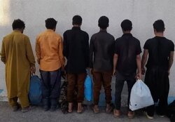 دستگیری ۳۰ تبعه بیگانه فاقد مجوز در شاهرود؛ ۲ خودرو توقیف شد