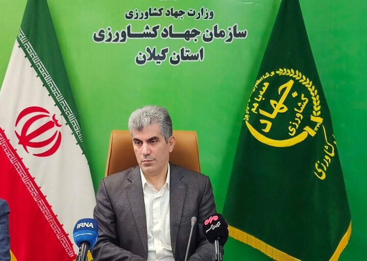 محمدی سالانه ۶.۶ میلیون تن محصول کشاورزی در گیلان تولید می شود