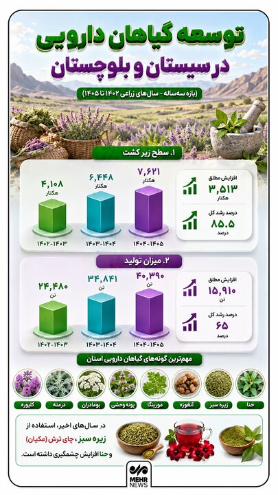 اینفوگرافیک؛ توسعه گیاهان دارویی در سیستان و بلوچستان