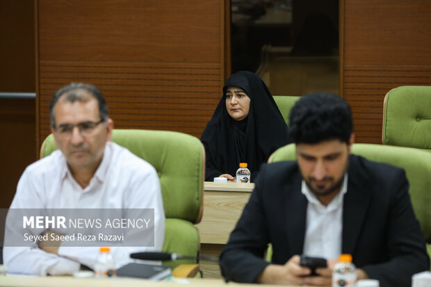 نشست خبری معاون بنیاد شهید و امور ایثارگران با خبرنگاران