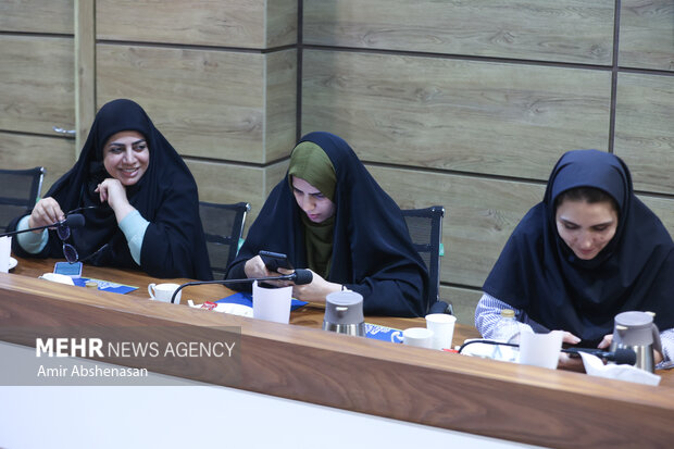نشست خبری فاطمه مقصودی عضو کمیسیون اقتصادی مجلس