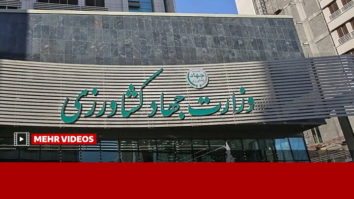 ترک فعل وزارت جهاد کشاورزی در موضوع نهاده‌های دامی