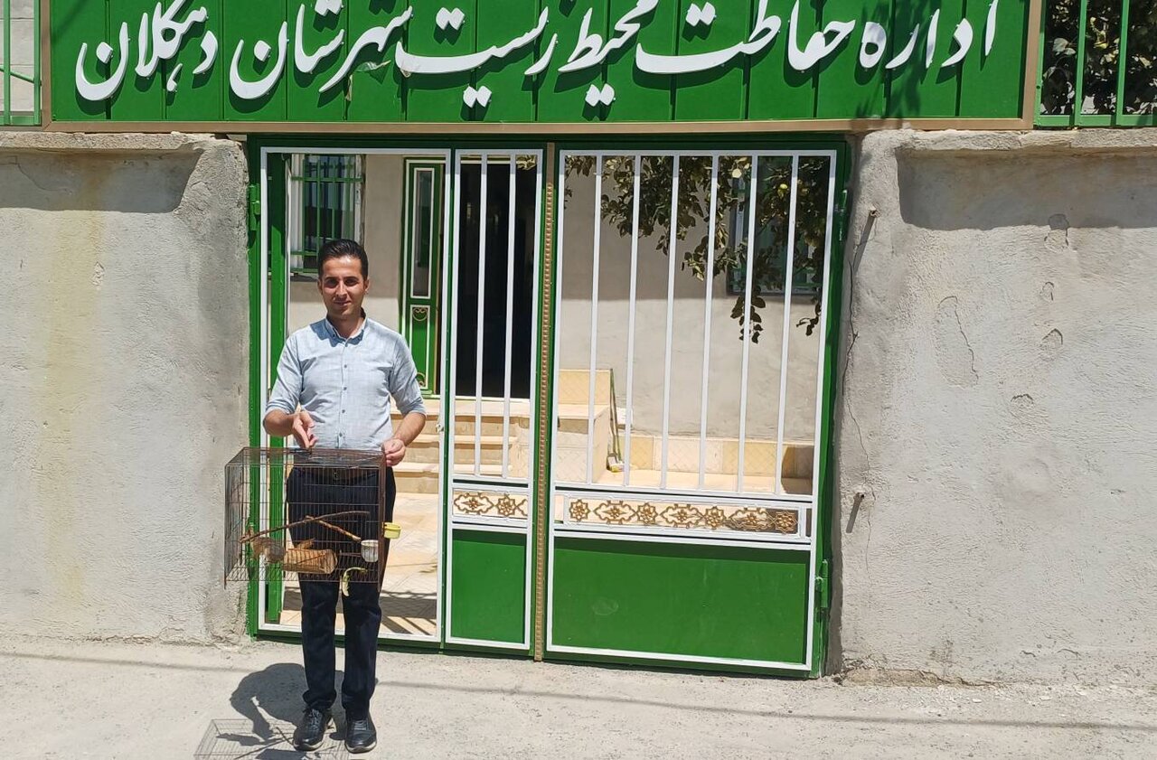 سنجاب ایرانی پس از بهبودی در دهگلان به طبیعت بازمی‌گردد