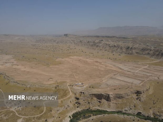 گچساران به استقبال خرمای مجول رفت؛ کشت در ۱۵۰۰ هکتار از نخلستان بلیسک